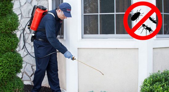 Toroslar Hamam Böceği İlaçlama böcek ilaçlama ve haşere kontrolü — ilaclama-tr.com